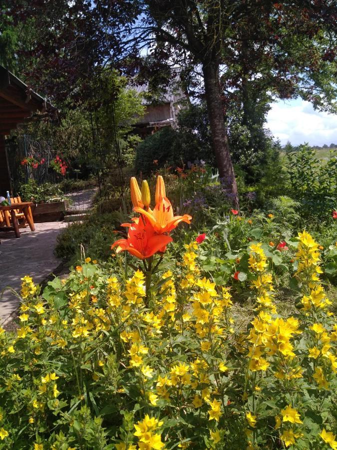 Chalet Le Paradou Adults Only Lessive 외부 사진
