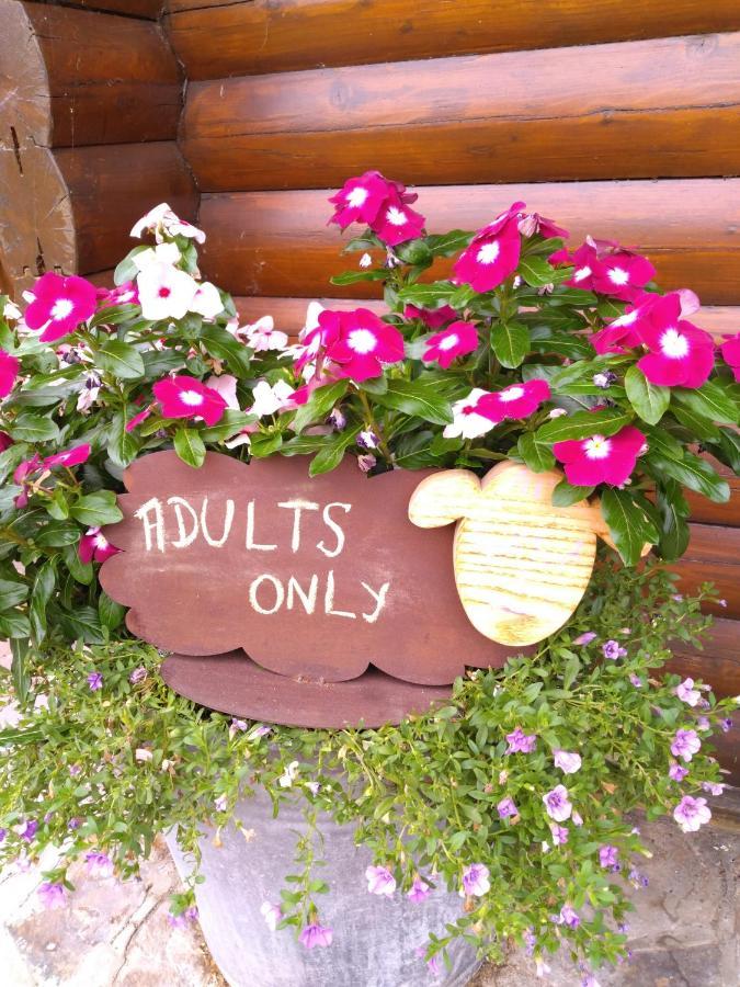 Chalet Le Paradou Adults Only Lessive 외부 사진